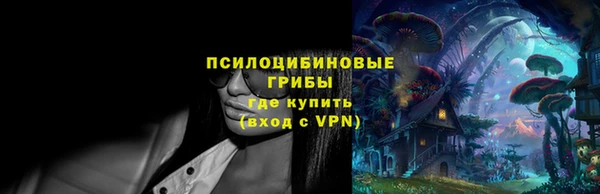 МДПВ Белокуриха