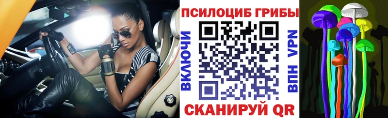 где купить наркоту кракен маркетплейс Галлюциногенные грибы мицелий Павловск